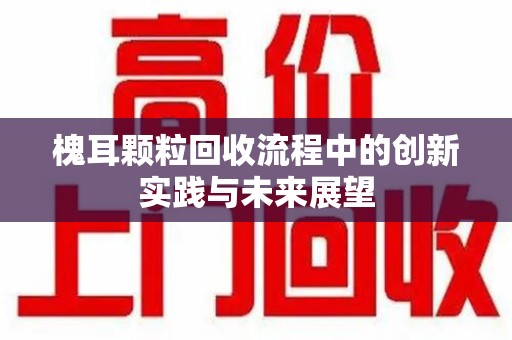 广州槐耳颗粒回收流程中的创新实践与未来展望
