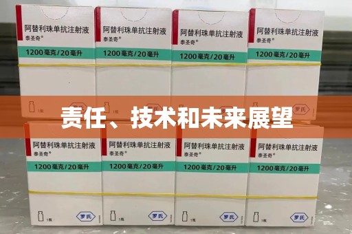 广州责任、技术和未来展望