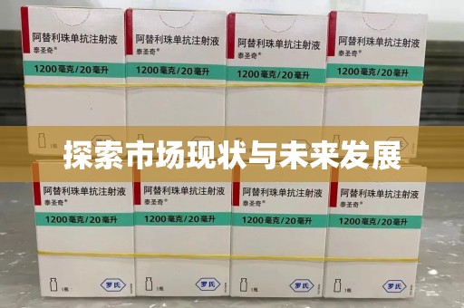 广州探索市场现状与未来发展