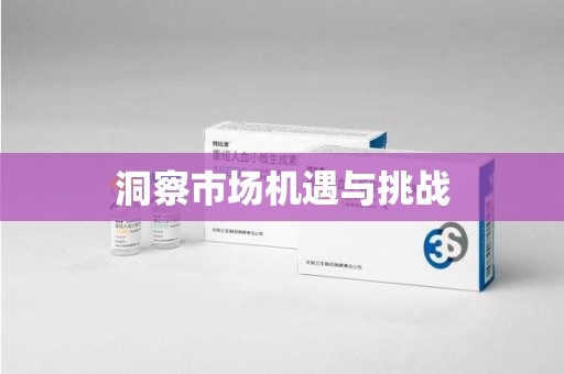 广州洞察市场机遇与挑战