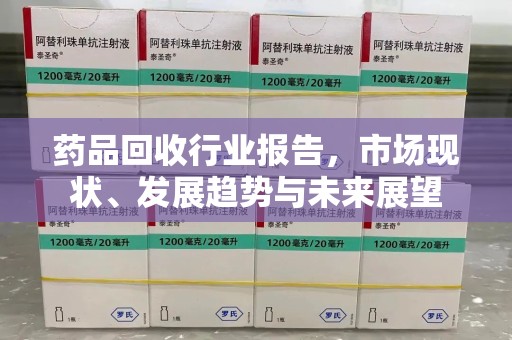 广州药品回收行业报告，市场现状、发展趋势与未来展望