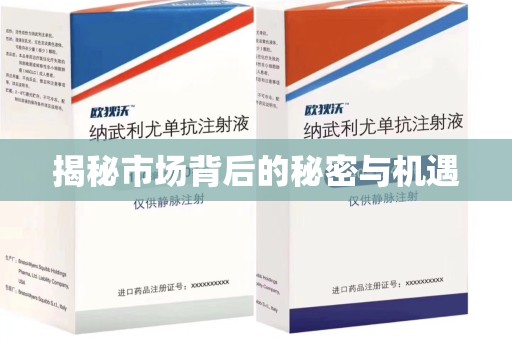 广州揭秘市场背后的秘密与机遇