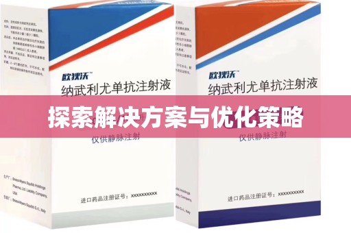 广州探索解决方案与优化策略