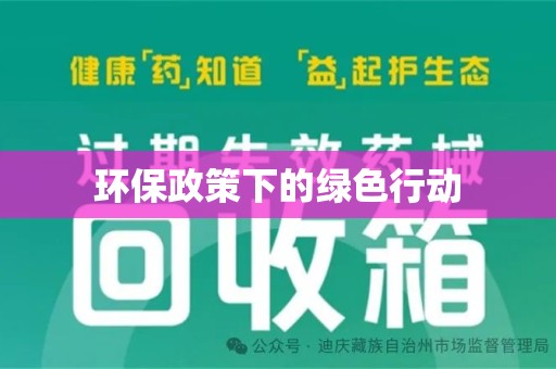 广州环保政策下的绿色行动