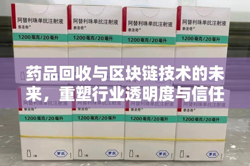 广州药品回收与区块链技术的未来，重塑行业透明度与信任
