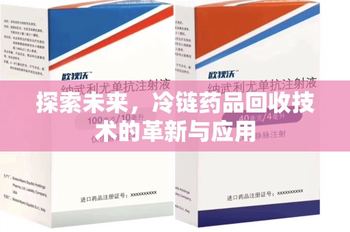 广州探索未来，冷链药品回收技术的革新与应用