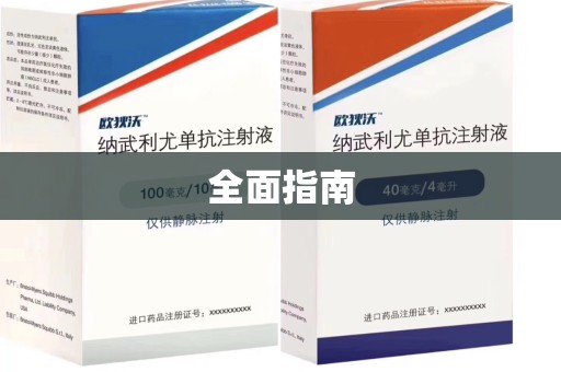 广州全面指南