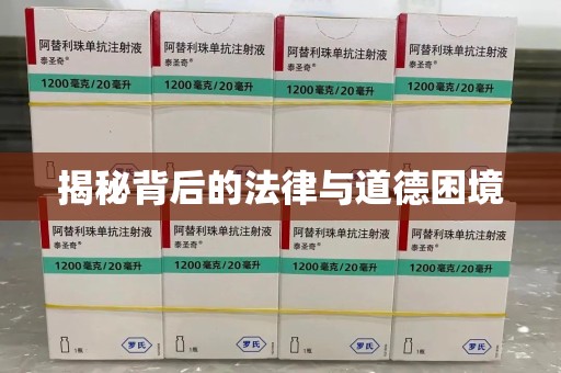 广州揭秘背后的法律与道德困境