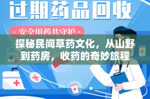 广州探秘民间草药文化，从山野到药房，收药的奇妙旅程