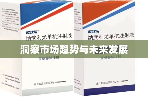 广州洞察市场趋势与未来发展
