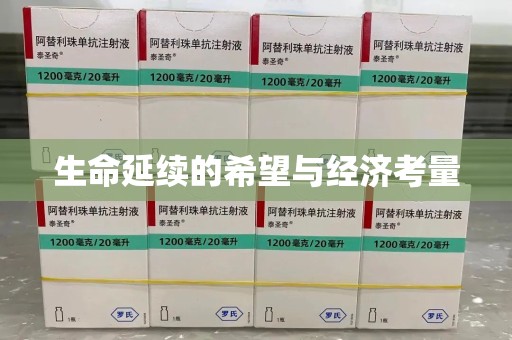 广州生命延续的希望与经济考量