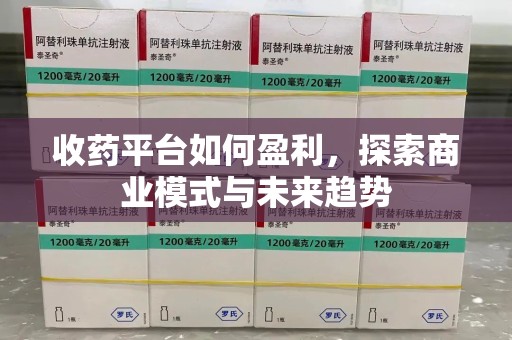 广州收药平台如何盈利，探索商业模式与未来趋势